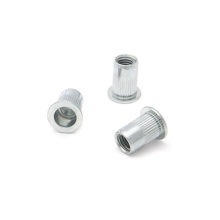 Заклепки резьбовые стальные с насечкой м10*17 мм, 50 шт в упаковке