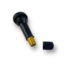 Ниппель для бескамерных шин (пластмасс)/100