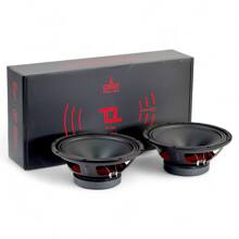 Динамики 25 см (10 дюймов) эстрадные, гром 170 вт