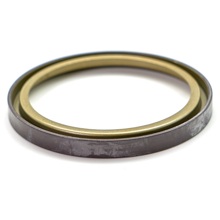 Магнитное кольцо ABS на барабан Lada Largus, Kangoo, Almera G15