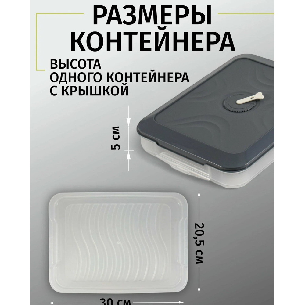 Контейнер для заморозки многоуровневый, 4 яруса, 300*205*150 мм, цвет графит Контейнер для заморозки многоуровневый, 4 яруса, 300*205*150 мм, цвет графит