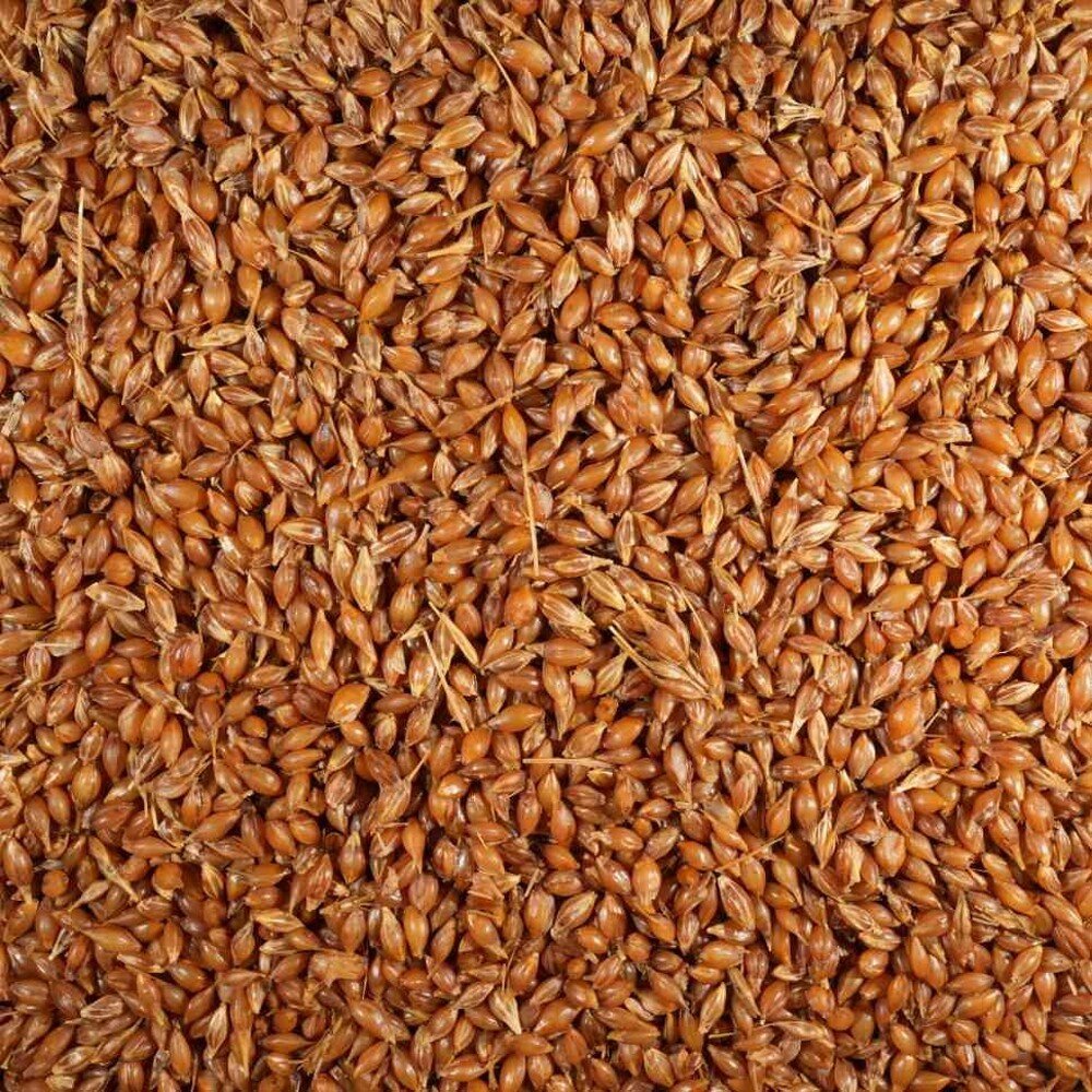 Прикормка Зерновая смесь Варенная Дикая пшеница WILD WHEAT (4кг) Прикормка Зерновая смесь Варенная Дикая пшеница WILD WHEAT (4кг)